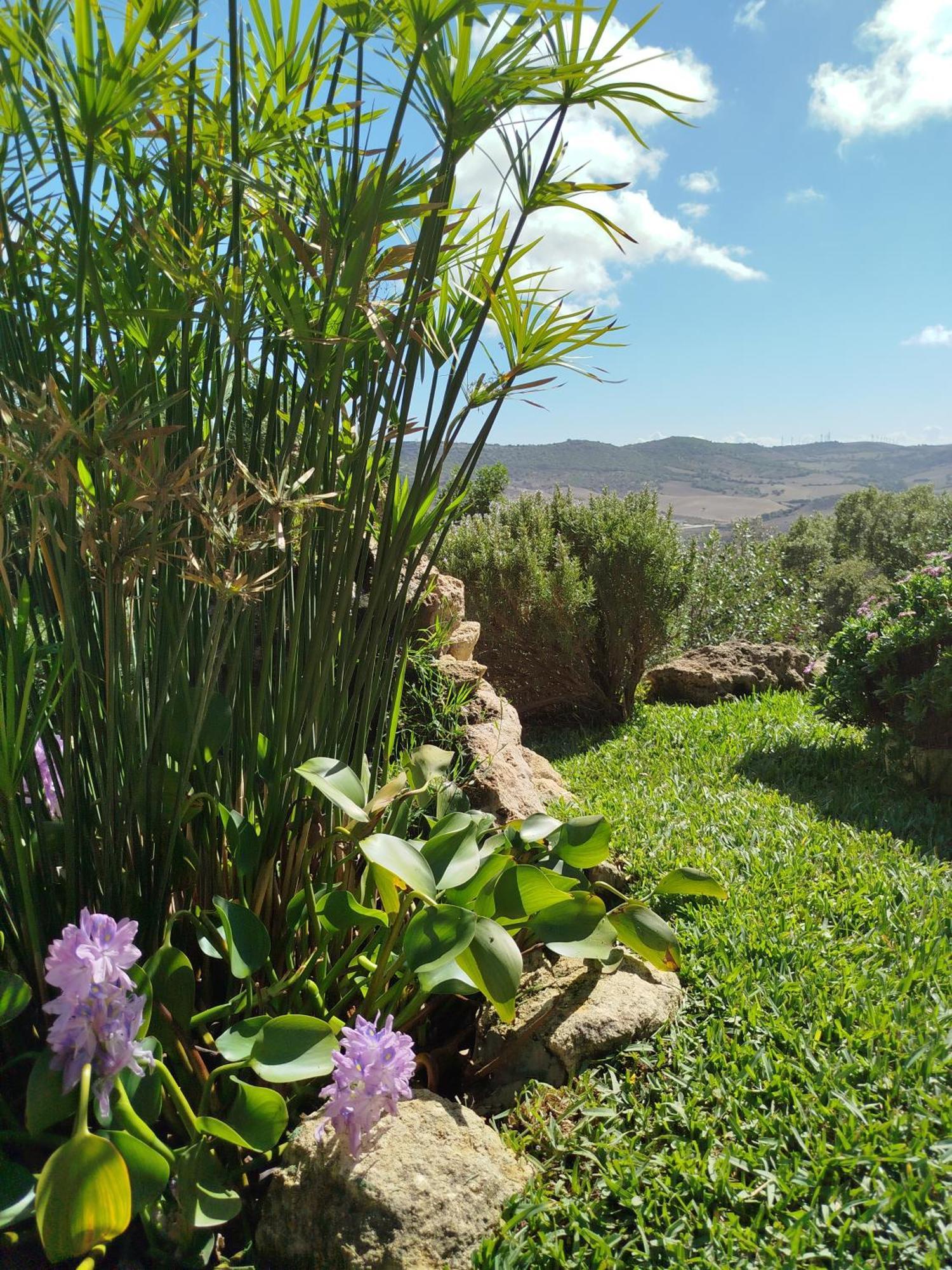 Casa Montecote Eco Resort Vejer de la Frontera Exterior foto